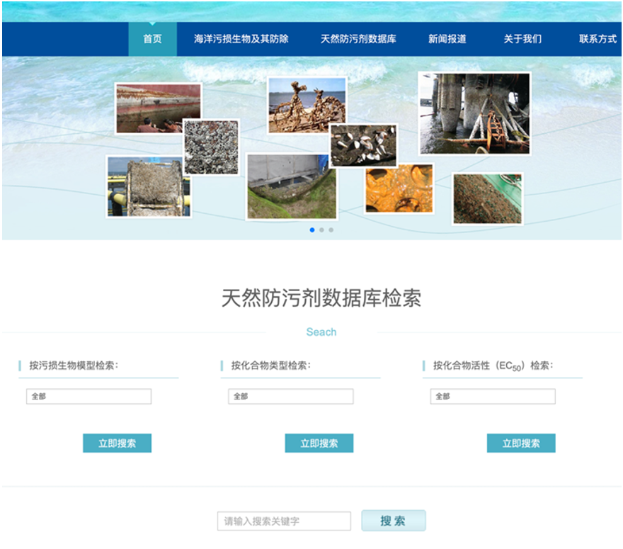 Ab01ed25 221e 4d9b 8b22 06c6177571e2