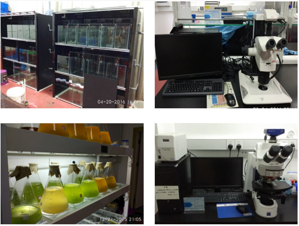 B2d138a1 Ba44 4ae2 B991 6f07439fe400