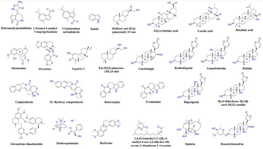 Dacc4926 5316 4daa B54e 36a1c3d15ff4 1024x583